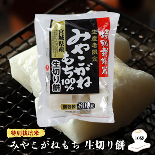 (10004)【特別栽培米生産者限定】宮城県産みやこがねもち100％生切り餅10袋 2034889 - 宮城県大崎市