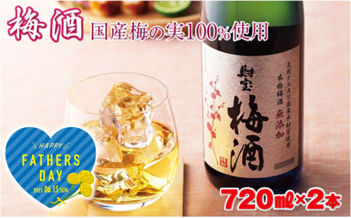 W-22167-fa/<父の日ギフト>濃厚な味わい!梅酒2本 2034961 - 鹿児島県垂水市