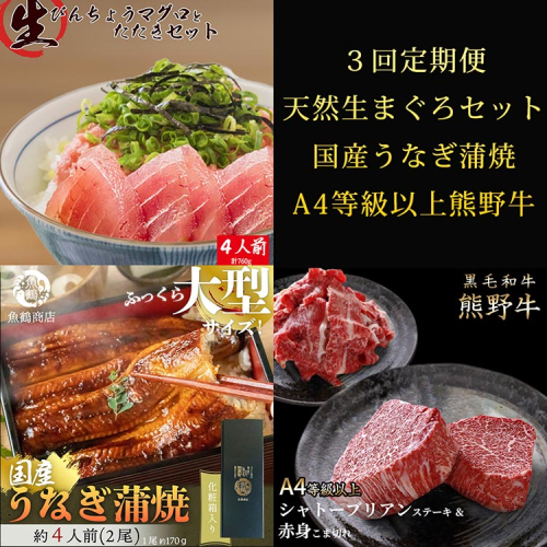 〈毎月定期便〉紀州和歌山うまいもんセットC(生まぐろ・うなぎ蒲焼・熊野牛)全3回 ※離島への配送不可 2035093 - 和歌山県美浜町