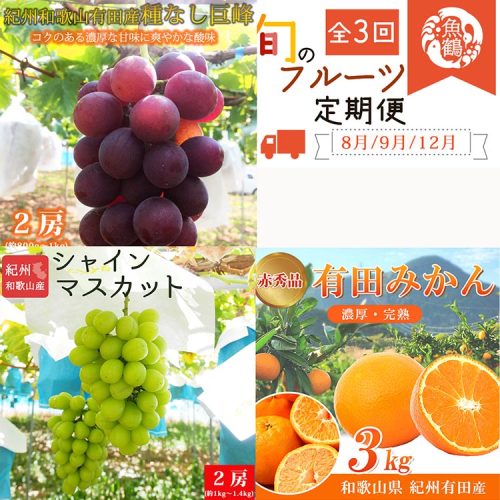 〈発送月固定定期便〉紀州和歌山産旬のフルーツセット(種なし巨峰・シャイン・みかん)全3回 ※離島への配送不可 2035094 - 和歌山県美浜町