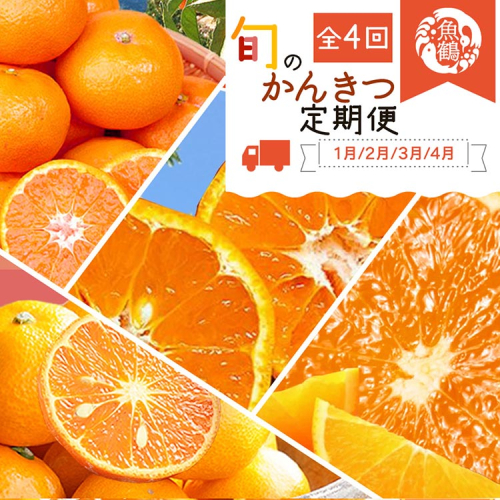 〈発送月固定定期便〉紀州和歌山産旬のご家庭用柑橘セット(みかん・不知火・せとか・清見)全4回 ※離島への配送不可 2035096 - 和歌山県美浜町