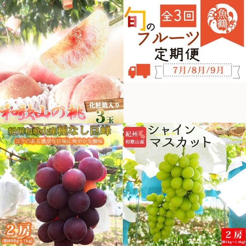 〈7・8・9月 全3回 定期便〉紀州和歌山産旬のフルーツセット（桃・種なし巨峰・シャインマスカット）※離島への配送不可 2035097 - 和歌山県美浜町