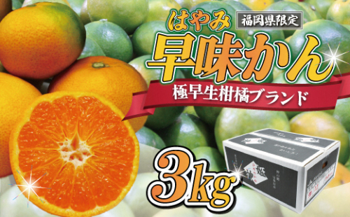 【2025年9月中旬より順次発送】JAむなかたブランドみかん【姫神】（早味かん）約3kg[F2280a] 203541 - 福岡県福津市