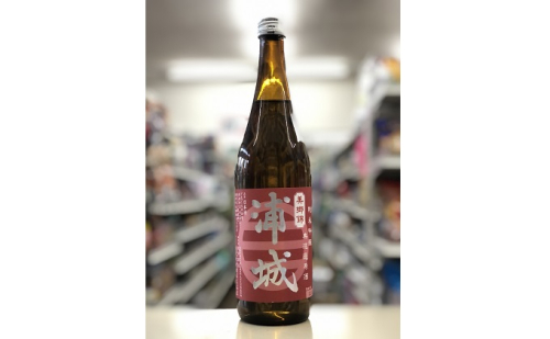 【生詰】純米吟醸無濾過原酒「赤浦城」720ml×1本 お酒 日本酒 純米吟醸酒 アルコール 果実味  203544 - 秋田県五城目町
