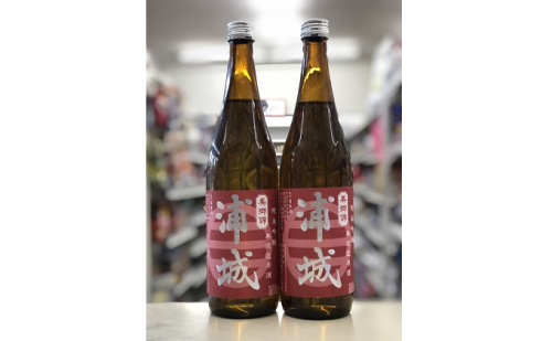 【生詰】純米吟醸無濾過原酒「赤浦城」720ml×2本 お酒 日本酒 純米吟醸酒 アルコール 果実味  203545 - 秋田県五城目町