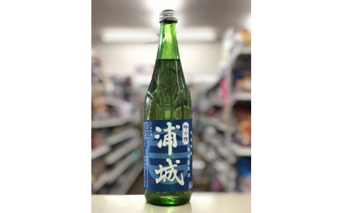 【生酒】純米吟醸無濾過原酒「青浦城」720ml×1本 お酒 日本酒 純米吟醸酒 アルコール 果実味  203546 - 秋田県五城目町