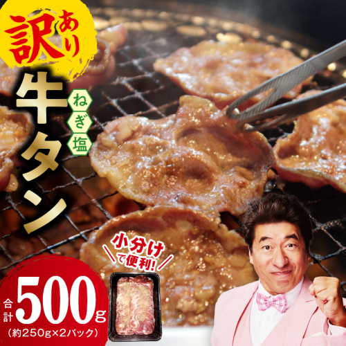 ねぎ塩 牛たん お試し 500g【小分け 250g×2 成型 牛タン 牛肉 焼肉用 薄切り 訳あり サイズ不揃い】 G1760 2036935 - 大阪府泉佐野市