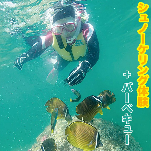 シュノーケリング体験(BBQケータリング付き) N002-YD0112 2037163 - 宮崎県延岡市