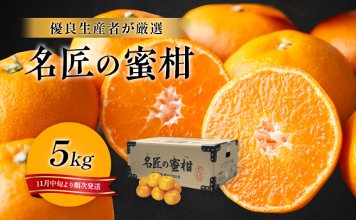 先行予約 特秀 名匠のみかん S～Mサイズ 5kg 果物 くだもの フルーツ 旬の果物 旬のフルーツ みかん 蜜柑 ミカン 柑橘 柑橘類 秀品 静岡 静岡県 浜松市 20372 - 静岡県浜松市