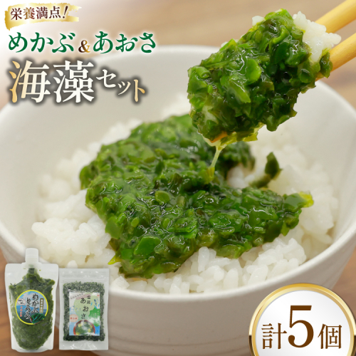 AI194 めかぶ 3パック あおさ 2パック セット 計950g [ めかぶとろろ 塩蔵あおさ 海藻 小分け あおさのり あおさ海苔 有明海 有明産 有明海産 みそ汁 うどん 冷凍海藻 ごはんのお供 長崎県 島原市 ] 2037384 - 長崎県島原市
