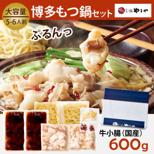 もつ鍋 やまや 6回 定期便 博多もつ鍋 牛もつ 600g たっぷり セット 5～6人前 ちゃんぽん麺 薬味付 総計30人前 [やまやコミュニケーションズ 福岡県 宇美町 um40azo860013] 牛もつ 具材 モツ鍋 牛ホルモン セット 2037422 - 福岡県宇美町