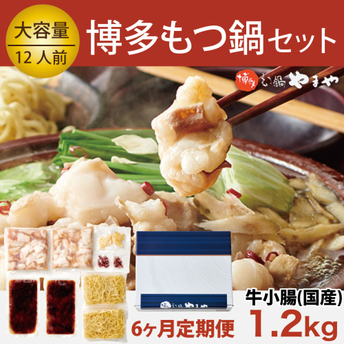 もつ鍋 やまや 6回 定期便 博多もつ鍋 牛もつ 1.2kg たっぷり セット 12人前 総計36人前 ちゃんぽん麺 薬味付 [やまやコミュニケーションズ 福岡県 宇美町 um40azo860008] もつ鍋セット モツ鍋 国産 牛モツ 牛ホルモン 2037423 - 福岡県宇美町