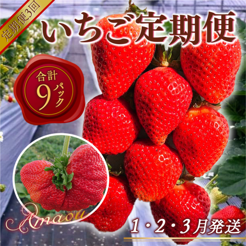 【期間限定発送】 いちご 定期便 あまおう デラックス 3p 3回 総計9p [THE FARM_strawberry 福岡県 宇美町 um40azo780004] イチゴ 苺 フルーツ 果実 甘い 小分け 2037425 - 福岡県宇美町