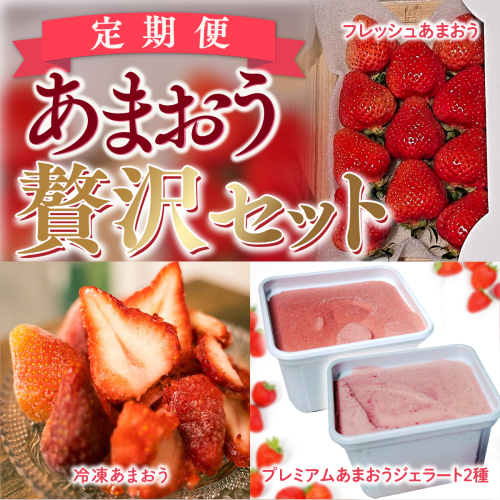 【期間限定発送】 いちご 定期便 贅沢セット フレッシュあまおう & 冷凍あまおう & ジェラート 2種 [THE FARM_strawberry 福岡県 宇美町 um40azo780005] アイス イチゴ 苺 フルーツ 果実 甘い 小分け 2037426 - 福岡県宇美町