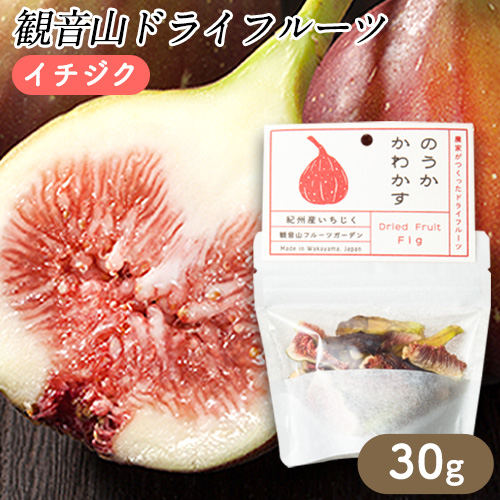 観音山ドライフルーツ（イチジク）30g１個 有限会社柑香園《30日以内に出荷予定(土日祝除く)》和歌山県 紀の川市 フルーツ 果物 いちじく ドライフルーツ 送料無料 203749 - 和歌山県紀の川市