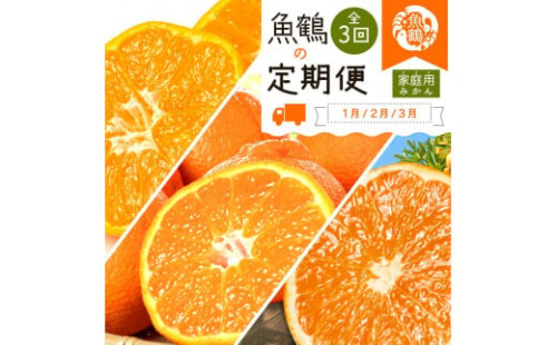 【1・2・3月 全3回 定期便】紀州和歌山産旬のご家庭用柑橘セット(みかん・不知火・清見) 2038071 - 和歌山県有田川町