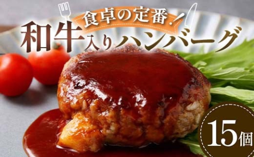 食卓の定番！和牛入りハンバーグ 15個 豚肉 和牛 定番 ジューシー 肉汁 手軽  メインディッシュ ジュワッ お子さま 大人 シンプル 飽きない F6T-594 2038419 - 富山県立山町