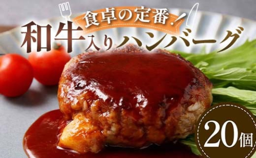 食卓の定番！和牛入りハンバーグ 20個 豚肉 和牛 定番 ジューシー 肉汁 手軽  メインディッシュ ジュワッ お子さま 大人 シンプル 飽きない F6T-595 2038420 - 富山県立山町