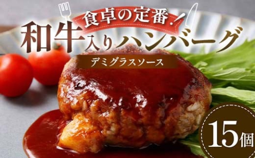 食卓の定番！和牛入りハンバーグ ～デミグラスソース～ 15個 豚肉 和牛 定番 特製デミ コク深 濃厚 手軽 下ごしらえ不要 メインディッシュ お子さま 大人 焼く 煮込む F6T-598 2038423 - 富山県立山町