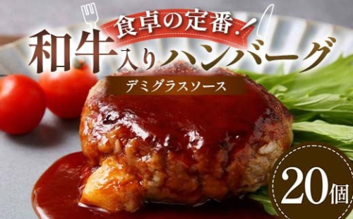 食卓の定番！和牛入りハンバーグ ～デミグラスソース～ 20個 豚肉 和牛 定番 特製デミ コク深 濃厚 手軽 下ごしらえ不要 メインディッシュ お子さま 大人 焼く 煮込む F6T-599 2038424 - 富山県立山町