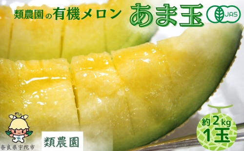 【予約:7月下旬〜8月上旬出荷】有機メロン「甘玉」1玉 ／メロン 有機 甘玉 贈答 ギフト お盆 お供え デザート おいしい 奈良県 宇陀市 類農園  ふるさと納税 2038425 - 奈良県宇陀市