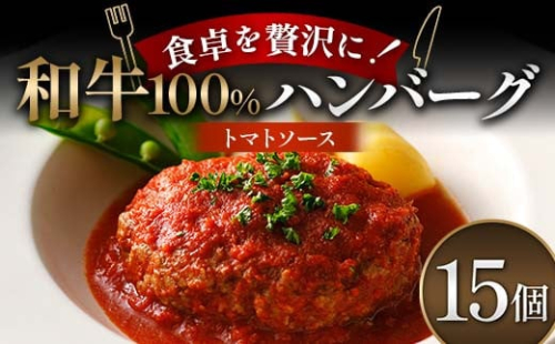食卓を贅沢に！和牛100％ハンバーグ ～トマトソース～ 15個 牛肉 100％ 温めるだけ 濃厚 さっぱり 簡単 肉汁 ジューシー 旨み ご飯 特製トマトソース パスタ バゲット F6T-606 2038432 - 富山県立山町