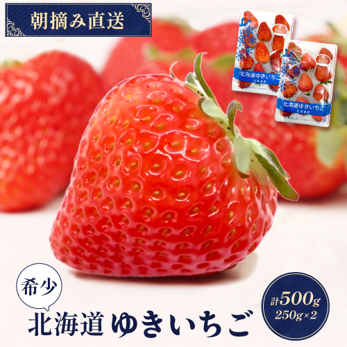 【受注後、随時発送！】【北海道産】ゆきいちご（紅ほっぺor恋みのり） ２Pセット 各250g×２ 計500g【59005】 2038529 - 北海道中標津町