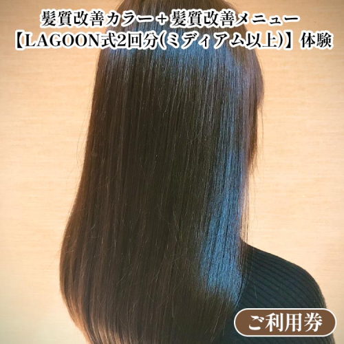 髪質改善カラー + 髪質改善メニュー【LAGOON式2回分（ミディアム以上）】《体験 ご利用券 美容 サロン 美容室 ヘアケア トレーニング ケア 美容体験 チケット》 2038688 - 京都府亀岡市