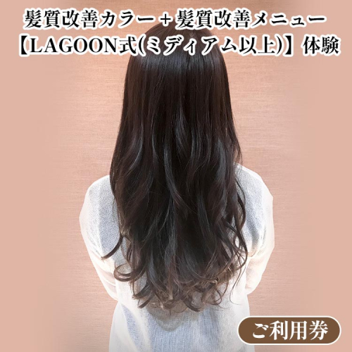 髪質改善カラー + 髪質改善メニュー【LAGOON式（ミディアム以上）】《体験 ご利用券 美容 サロン 美容室 ヘアケア トレーニング ケア 美容体験 チケット》 2038689 - 京都府亀岡市