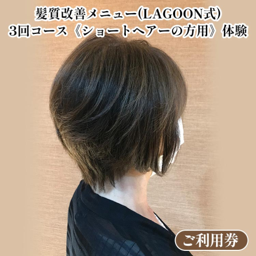 髪質改善メニュー（LAGOON式）3回コース《ショートヘアーの方用》《体験 ご利用券 美容 サロン 美容室 ヘアケア トレーニング ケア 美容体験 チケット》 2038690 - 京都府亀岡市