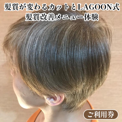 髪質が変わるカットとLAGOON式 髪質改善メニュー 《体験 ご利用券 美容 サロン 美容室 ヘアケア トレーニング ケア 美容体験 チケット》 2038694 - 京都府亀岡市