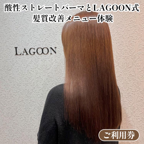 酸性ストレートパーマとLAGOON式 髪質改善メニュー 《体験 ご利用券 美容 サロン 美容室 ヘアケア トレーニング ケア 美容体験 チケット》 2038695 - 京都府亀岡市
