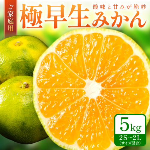 極早生みかん(ご家庭用) 5kg 和歌山産《先行予約》 2039099 - 和歌山県御坊市