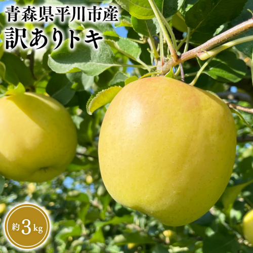 9月中旬～発送 訳あり トキ約3kg(家庭用)【なるみ農園・青森りんご・平川市産・数量限定】 2041235 - 青森県平川市