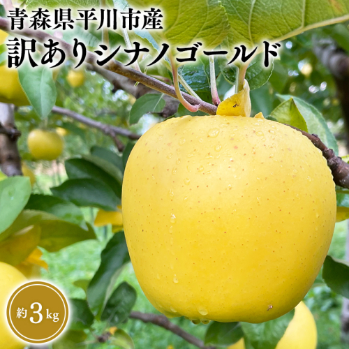 12月上旬～発送　 訳あり シナノゴールド約3kg(家庭用)【なるみ農園・青森りんご・平川市産・数量限定】 2041246 - 青森県平川市