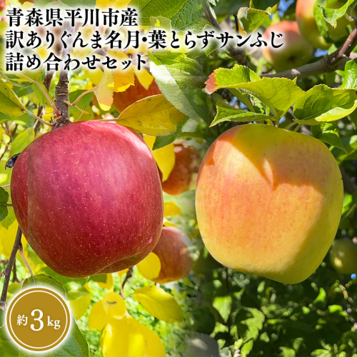 12月上旬～発送　 訳あり ぐんま名月・葉とらずサンふじ詰め合わせセット約3kg(家庭用)【なるみ農園・青森りんご・平川市産・詰め合わせ・数量限定】 2041249 - 青森県平川市