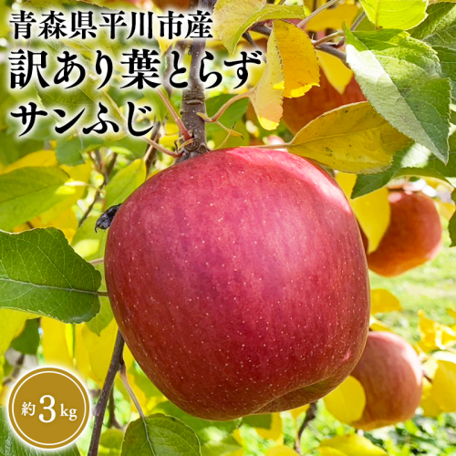 12月中旬～発送　 訳あり 葉取らずサンふじ約3kg(家庭用)【なるみ農園・青森りんご・平川市産・数量限定】 2041257 - 青森県平川市