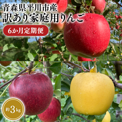8月下旬～発送　 訳あり家庭用りんご 6か月定期便約3kg【なるみ農園・青森りんご・平川市産・定期便・数量限定】 2041273 - 青森県平川市