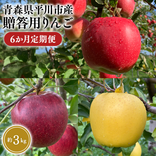 8月下旬～発送　贈答用りんご 6か月定期便約3kg【なるみ農園・青森りんご・平川市産・定期便・数量限定】 2041289 - 青森県平川市
