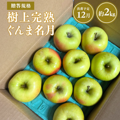 【令和7年産受付】贈答用 樹上完熟ぐんま名月約2kg【青森県平川市産・青森りんご】 2041495 - 青森県平川市