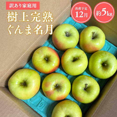 【令和7年産受付】家庭用 樹上完熟ぐんま名月約5kg【青森県平川市産・青森りんご】 2041498 - 青森県平川市