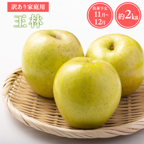 【令和7年産受付】家庭用王林約2kg【青森県平川市産・青森りんご】 2041507 - 青森県平川市