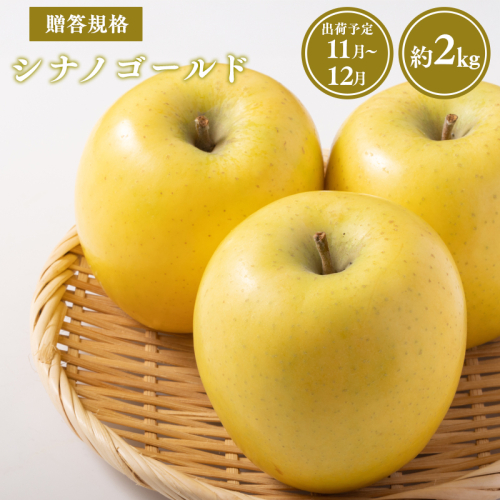 【令和7年産受付】贈答用シナノゴールド約2kg【青森県平川市産・青森りんご】 2041520 - 青森県平川市