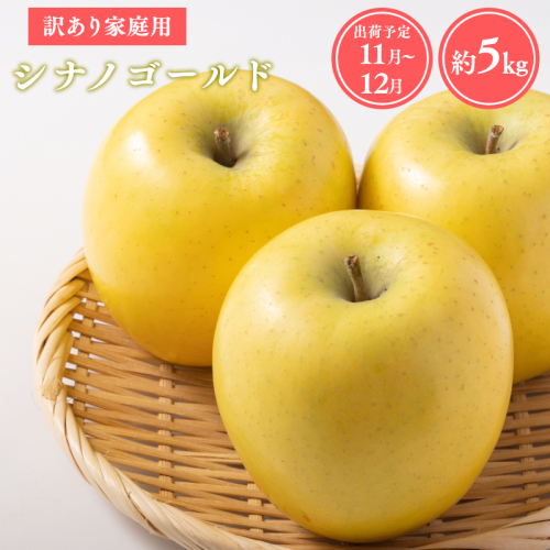 【令和7年産受付】家庭用シナノゴールド約5kg【青森県平川市産・青森りんご】 2041523 - 青森県平川市