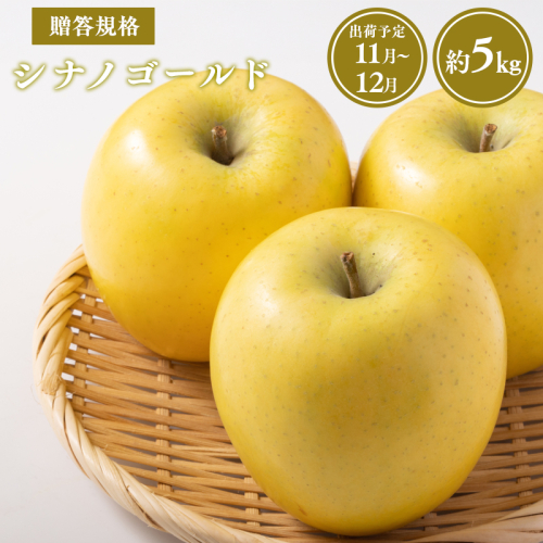 【令和7年産受付】贈答用シナノゴールド約5kg【青森県平川市産・青森りんご】 2041524 - 青森県平川市