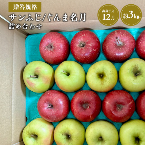 【令和7年産受付】贈答用 サンふじ/ぐんま名月 詰め合わせ約3kg【青森県平川市産・青森りんご】 2041526 - 青森県平川市