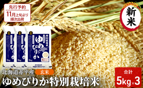 玄米 北海道赤平産 ゆめぴりか 15kg (5kg×3袋) 特別栽培米 米 北海道 お米 ふるさと納税 2042237 - 北海道赤平市