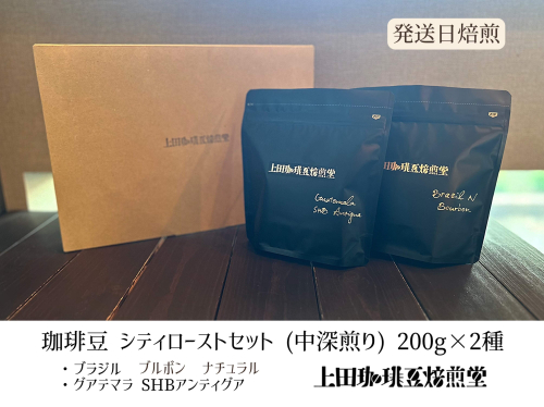 【上田珈琲豆焙煎堂】珈琲豆 中深煎り セット 200g×2種 セット ブラジルブルボン・グアテマラSHB【豆】  [52210994] 2042327 - 埼玉県飯能市