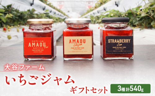 ジャム 大谷ファーム いちごジャム セット 3種 計540g ギフトセット ※配送不可：離島 2043069 - 福岡県大刀洗町
