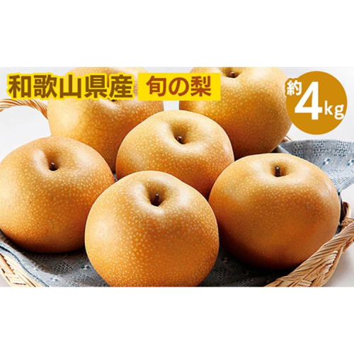 ◆先行予約◆和歌山県産 旬の梨 約4kg ※2025年8月中旬～9月中旬頃に順次発送予定 ※離島への配送不可 2043424 - 和歌山県美浜町